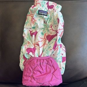 Patagonia winter ski pant